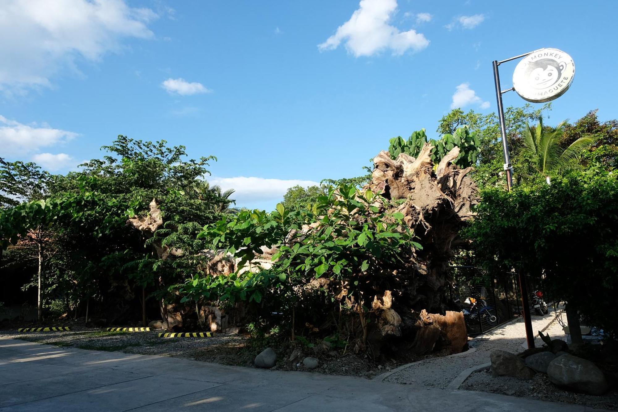 Mad Monkey Dumaguete Dumaguete City Exterior foto